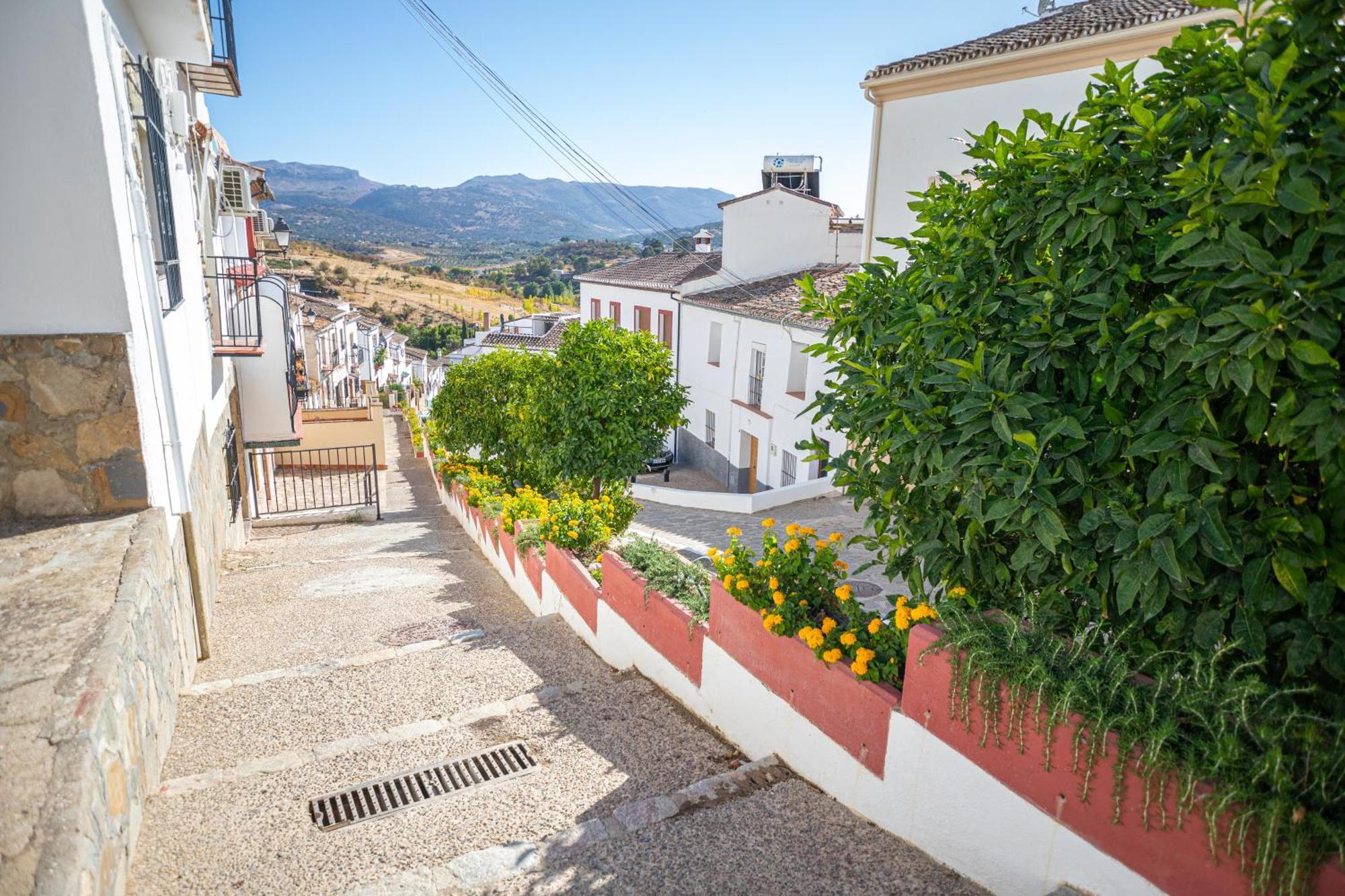 Ferienwohnung The Pava'S House Ronda Exterior foto